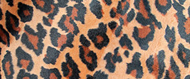 Tejidos acolchados de pelo corto Animal Print.