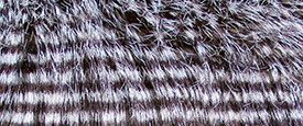 Tejidos acolchados de pelo largo estampado.