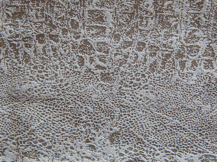 ANTELINA ANIMAL_PRINT MUSONE