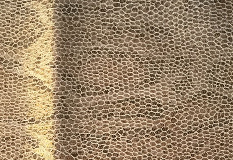 ANTELINA ANIMAL_PRINT OHIO