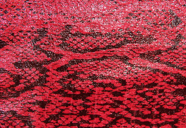 ANTELINA ANIMAL_PRINT ROVIGO