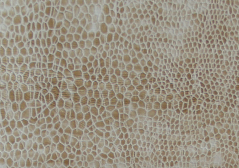 ANTELINA ANIMAL_PRINT SIDI