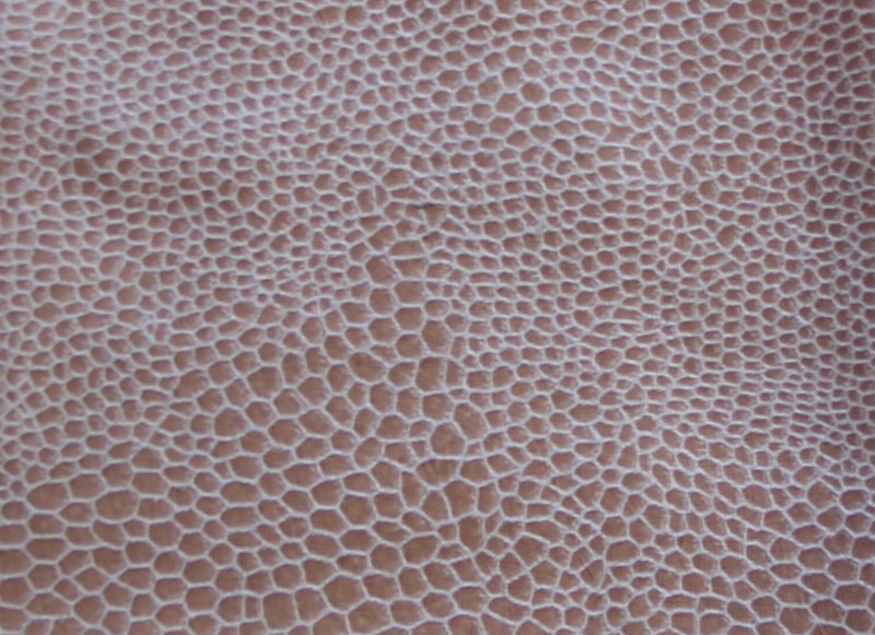 ANTELINA ANIMAL_PRINT SOTOCA