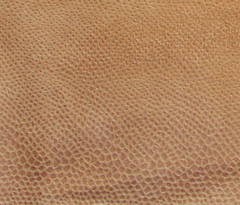 ANTELINA ANIMAL_PRINT TIJUANA