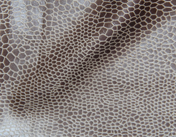 ANTELINA ANIMAL_PRINT ZORITA
