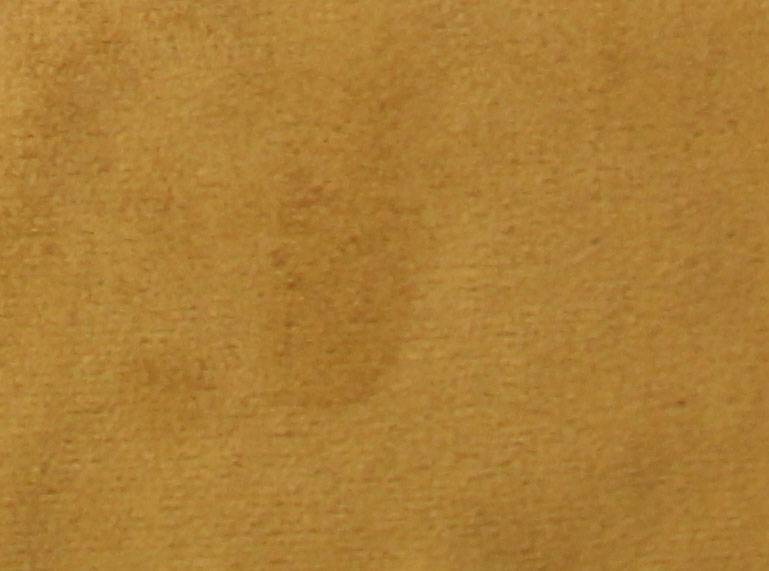 ANTELINA LISA GENUINO