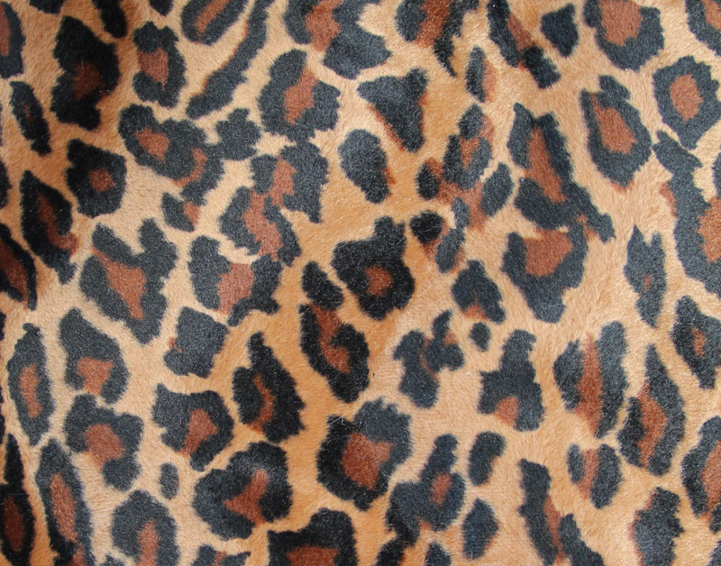 PELO CORTO ANIMAL PRINT - BOTSWANA --- COLOR 20