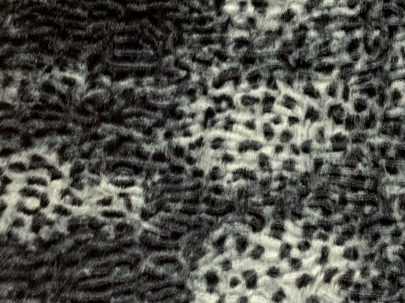 PELO_CORTO ANIMAL_PRINT DORGALI