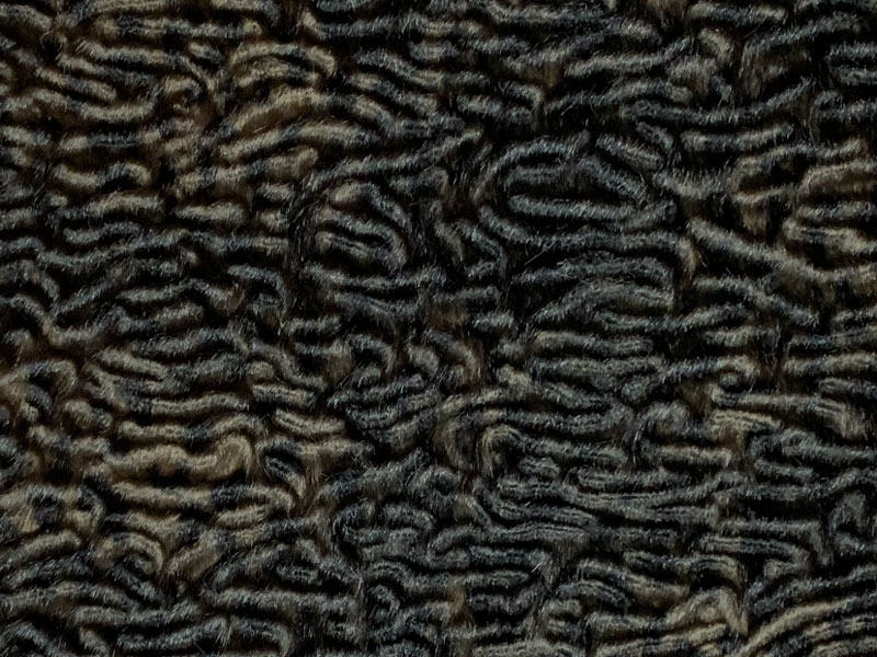 PELO CORTO ANIMAL PRINT - DORGALI --- COLOR 2