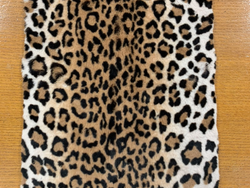 PELO_CORTO ANIMAL_PRINT GAMBIA