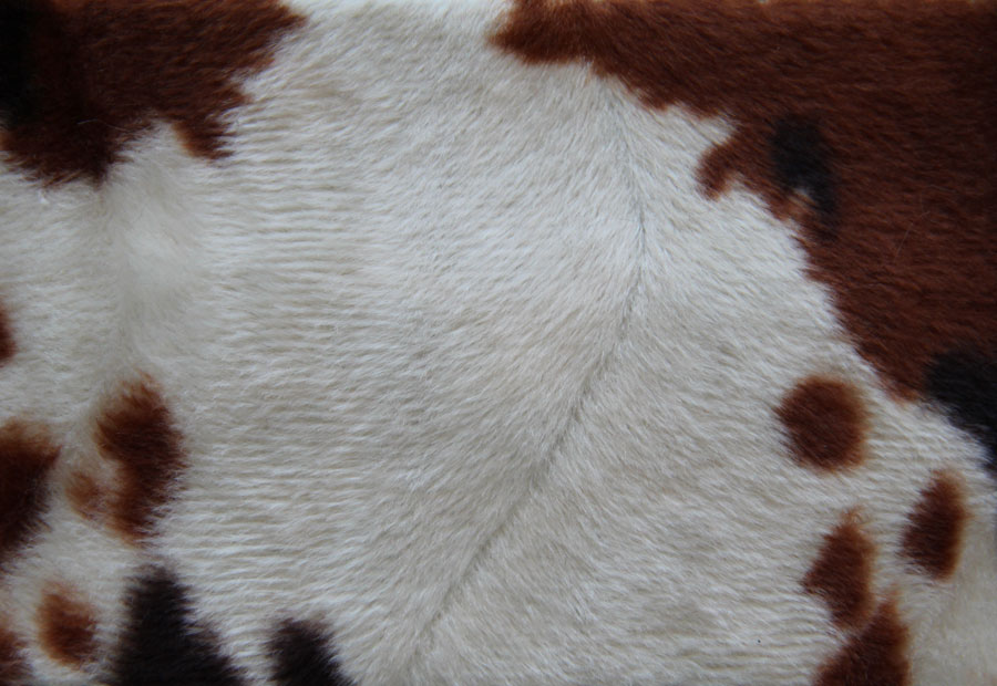 PELO_CORTO ANIMAL_PRINT KINDO