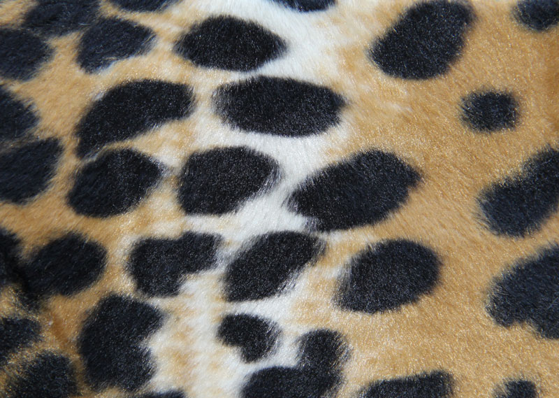 PELO CORTO ANIMAL PRINT - KINDO --- COLOR 2