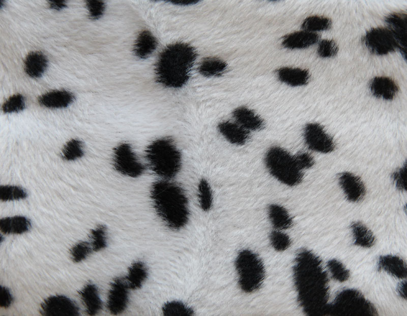 PELO CORTO ANIMAL PRINT - KINDO --- COLOR 5