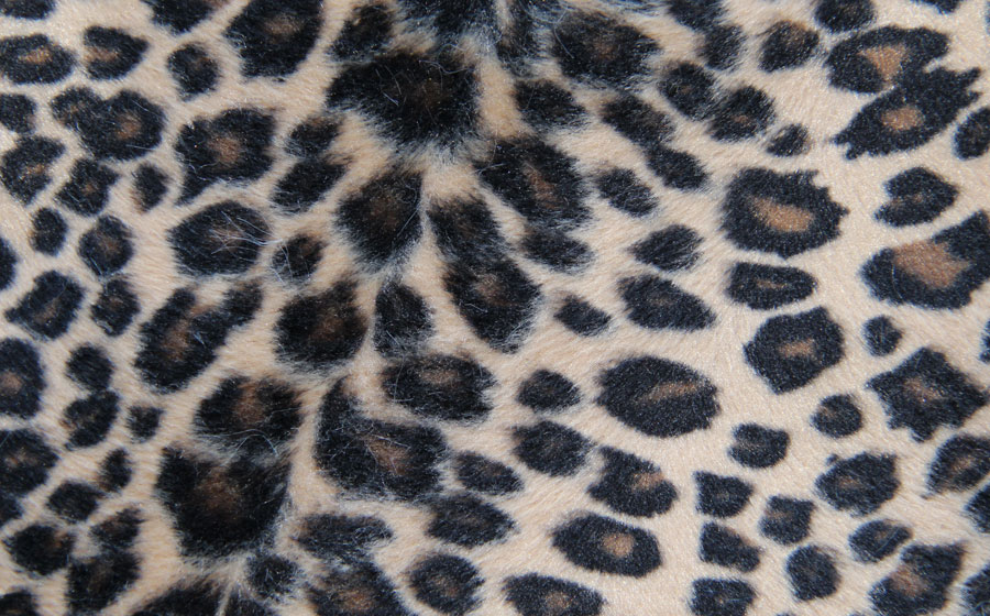 PELO CORTO ANIMAL PRINT - KINDO --- COLOR 7