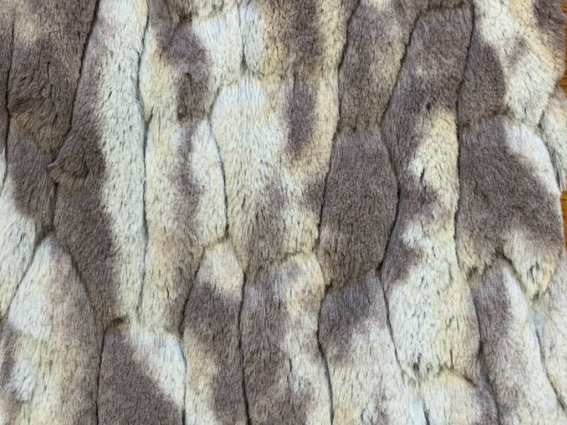 PELO_CORTO ANIMAL_PRINT RIENZA