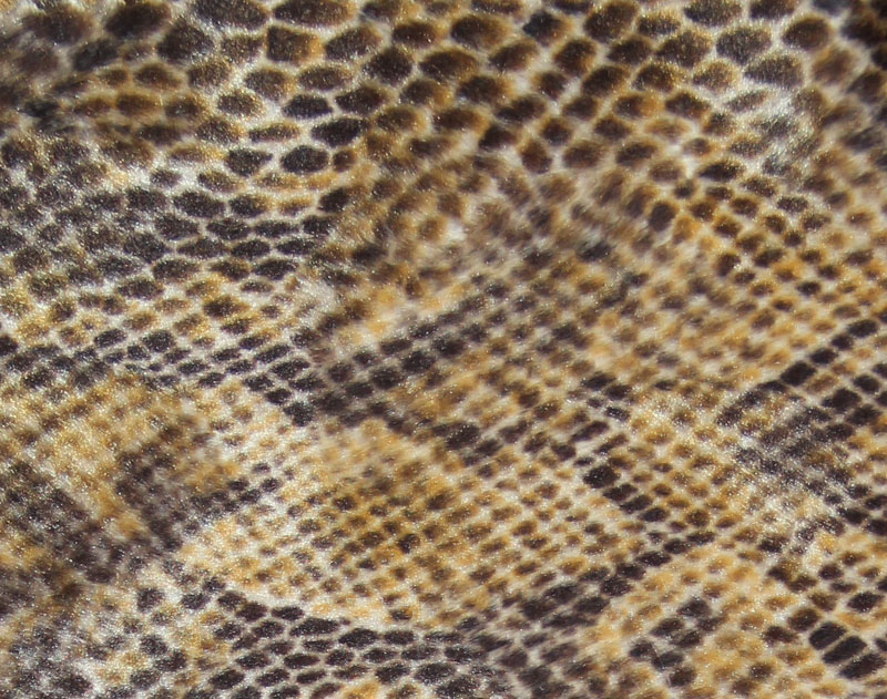 PELO_CORTO ANIMAL_PRINT RUBI