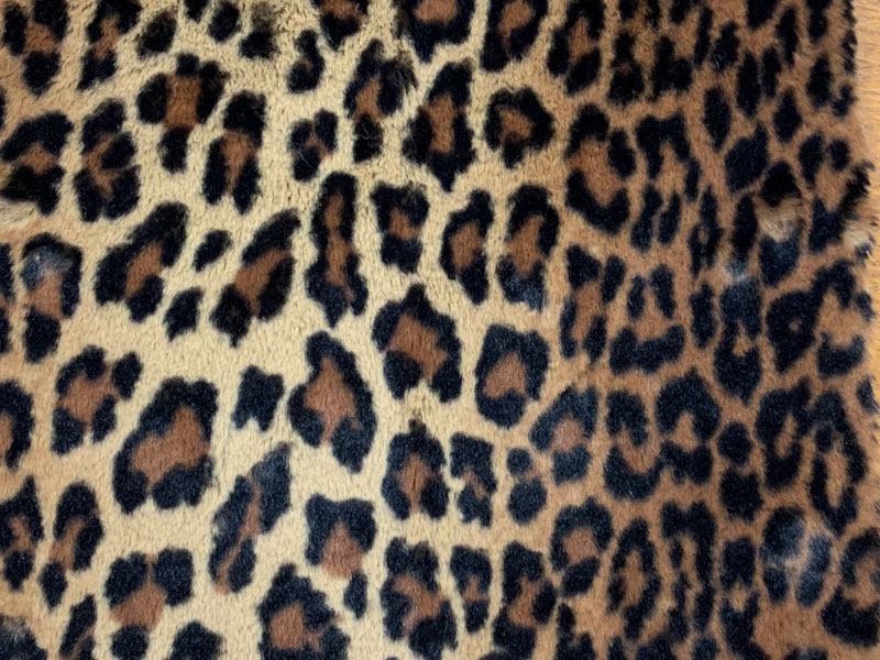 PELO_CORTO ANIMAL_PRINT YIBUTO