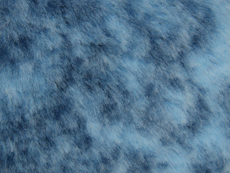PELO CORTO ESTAMPADO - SAVUTO --- COLOR 4
