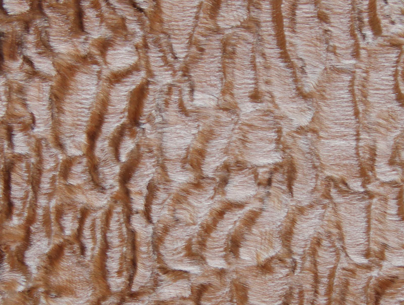 PELO CORTO LISO - ASTRAKAN --- COLOR 2