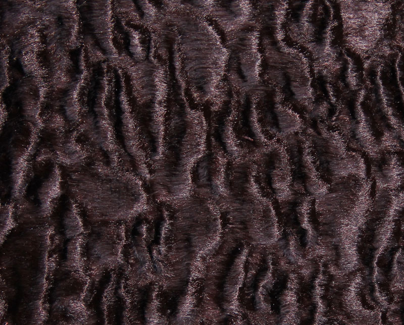 PELO CORTO LISO - ASTRAKAN --- COLOR 4