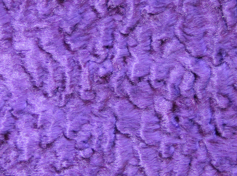 PELO CORTO LISO - ASTRAKAN --- COLOR 6