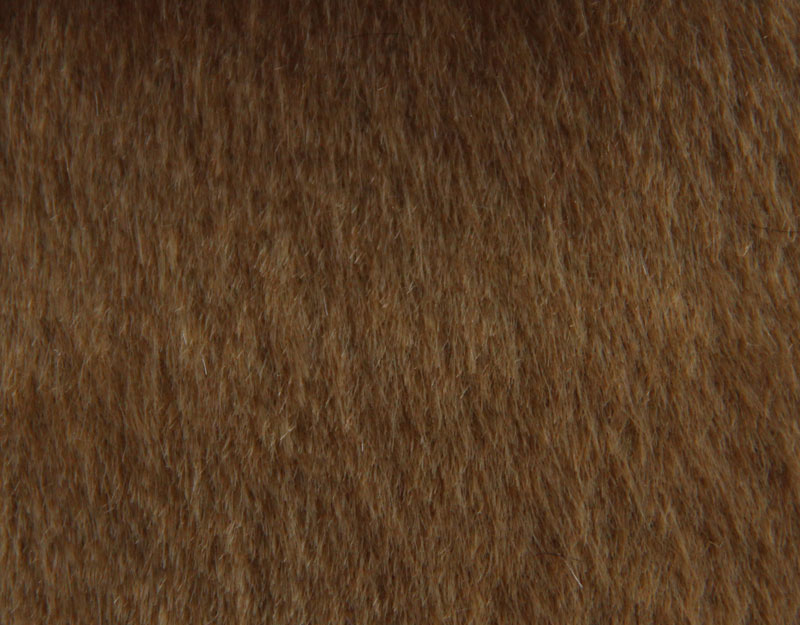 PELO CORTO LISO - POTRO --- COLOR 2